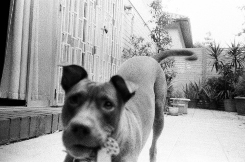 Olympus µ[mju:] Zoom – Kompaktowy aparat analogowy 1999r